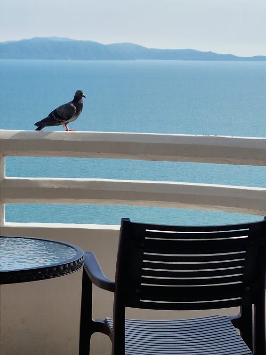 Ausblick Hotel Jomtien Palm Beach