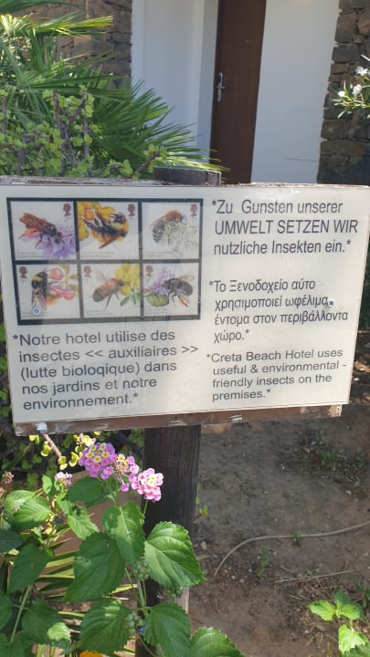 Gartenanlage Civitel Creta Beach