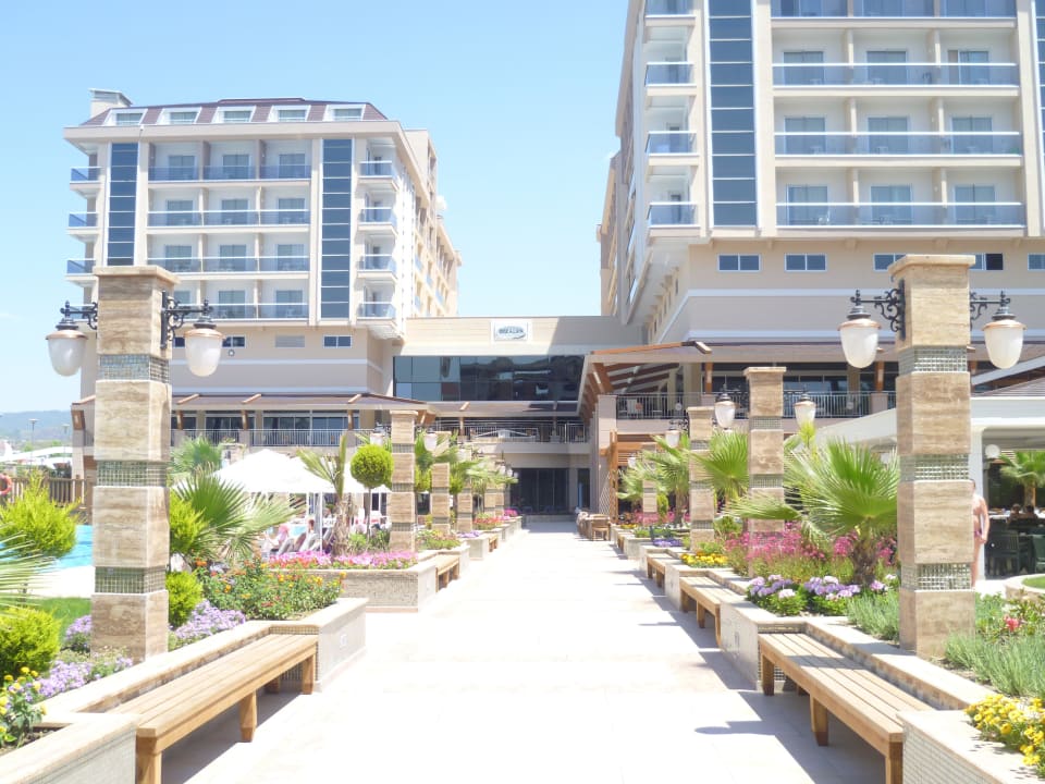 Poolbereich!  Dizalya Palm Garden