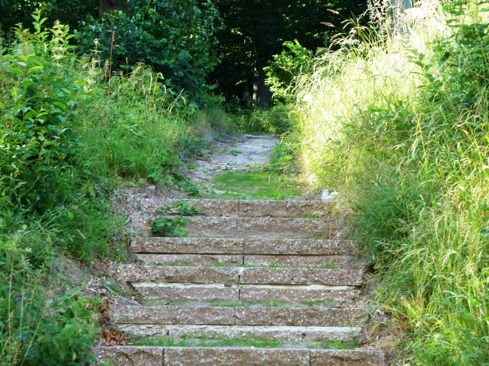 Die Gärtner hatten scheinbar frei. Cliff Hotel Rügen
