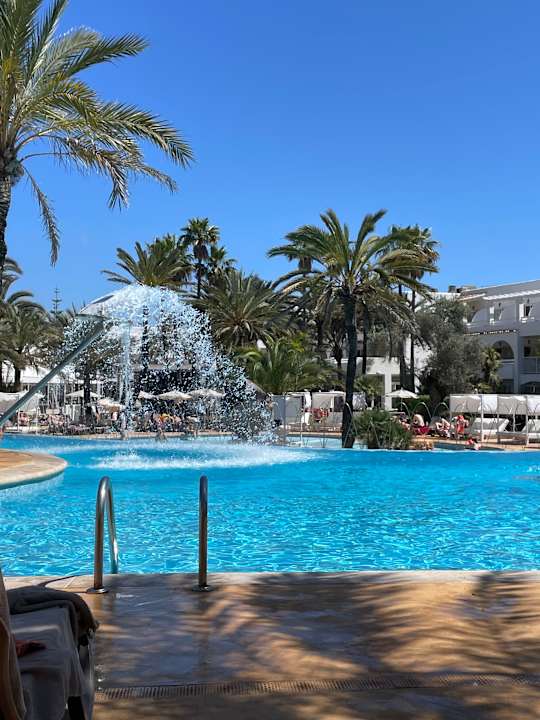 Pool Calimera Fido Gardens