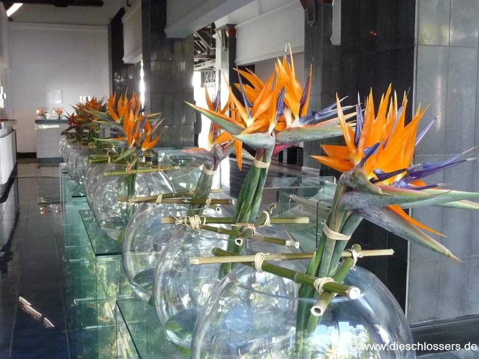 Lobby Ambre Mauritius