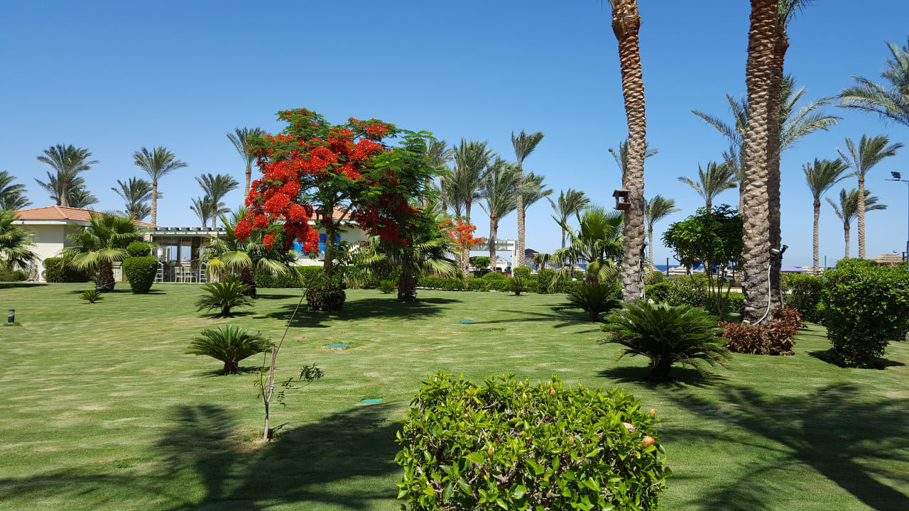 Gartenanlage Rixos Sharm El Sheikh Adults Only 18 +