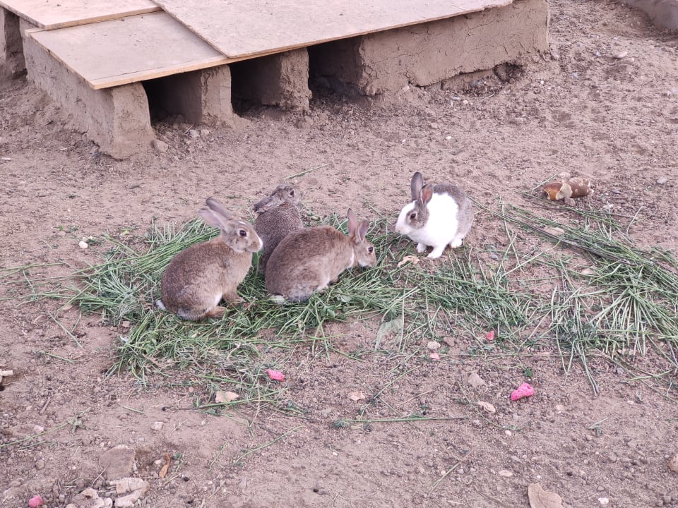 Gartenanlage Jolie Ville Kings Island Luxor