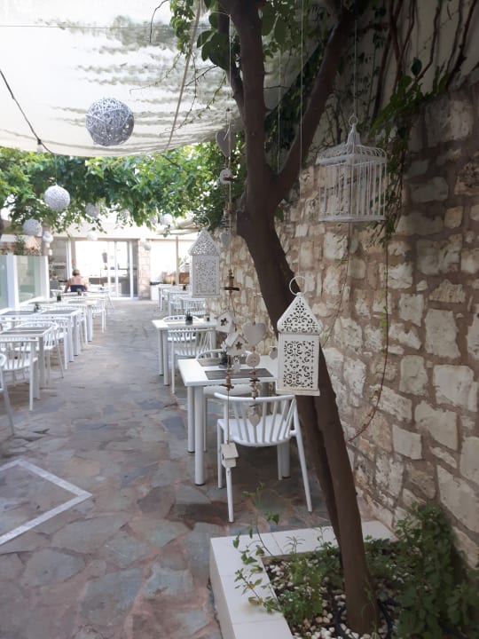 Gastro Dimitrios Beach Hotel