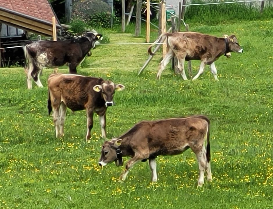 Gartenanlage Oberjoch - Familux Resort