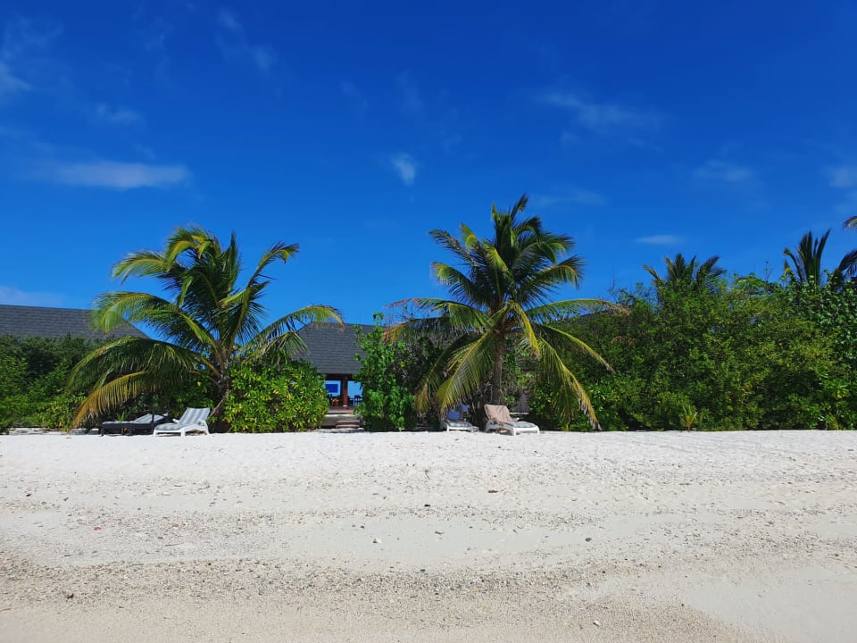 Strand Summer Island Maldives