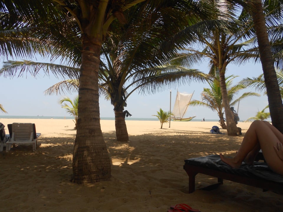 Strand Hotel Golden Star Beach