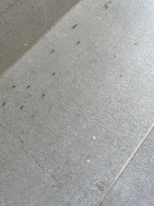 Zimmer Rodos Princess Beach Hotel & Spa