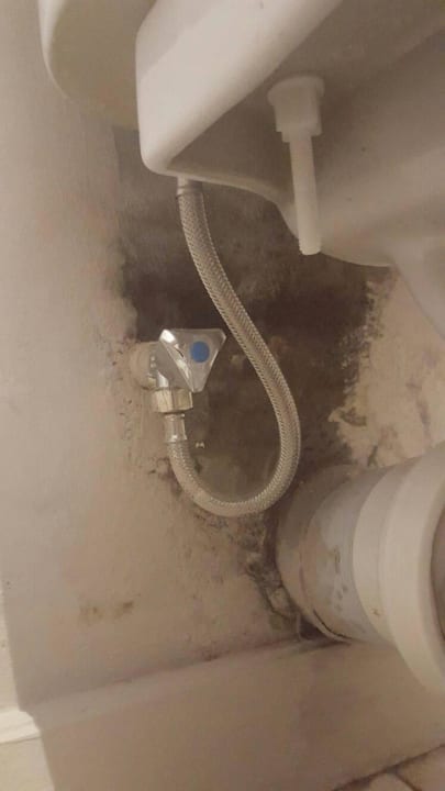 Toilette  Friday Attitude