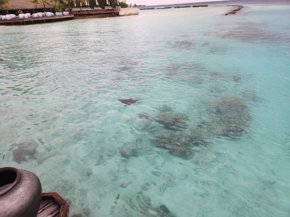 Strand Komandoo Island Resort & Spa - Adults only