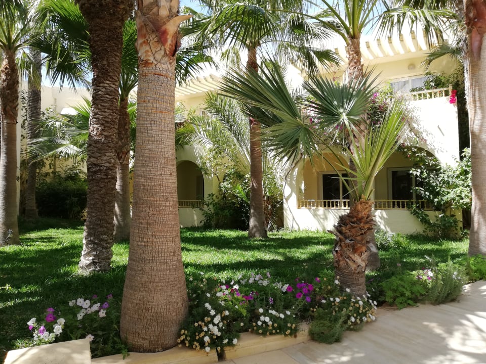 Ausblick The Ksar Djerba Charming Hotel & SPA