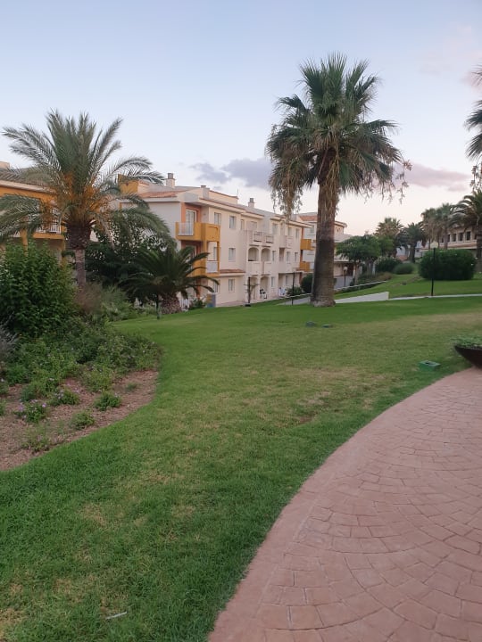 Garten blau punta reina