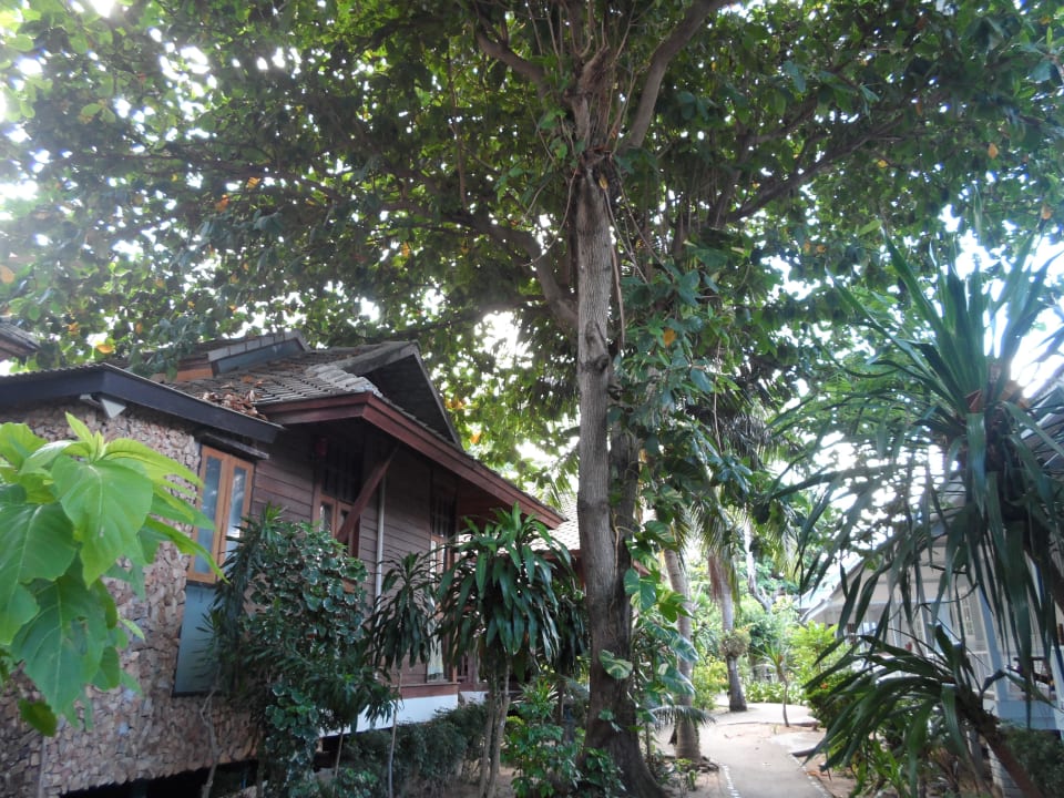 Unser Bungalow Hotel Utopia Resort