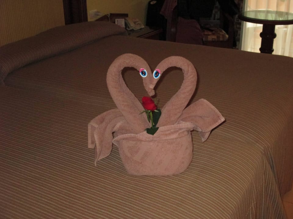 Deko Hotel Riu Tequila