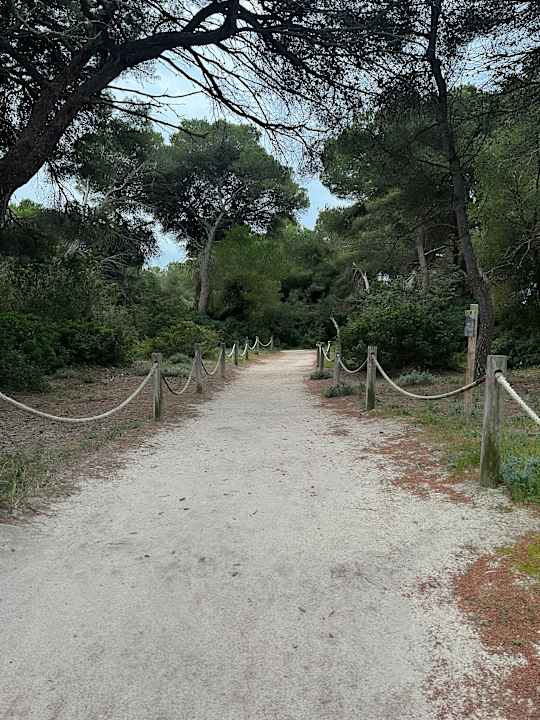 Gartenanlage Zafiro Bahia