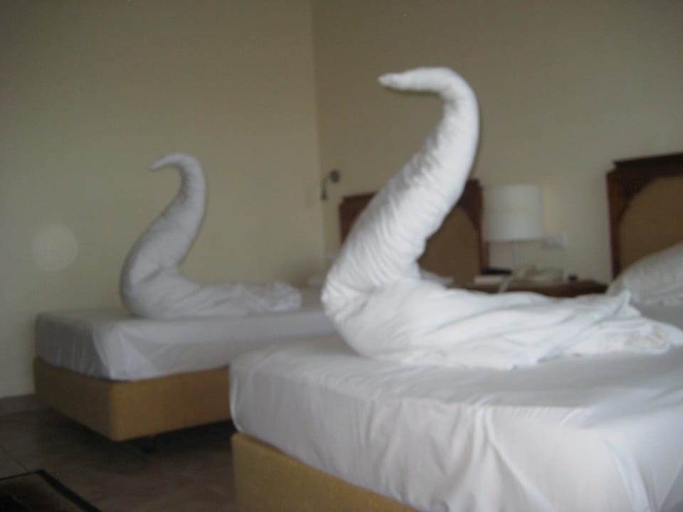 Schwäne aus Bettzeug. Parrotel Beach Resort