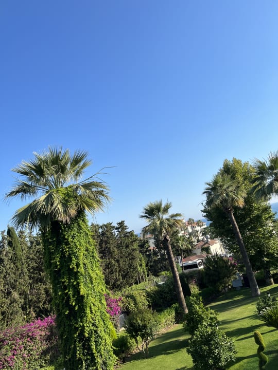 Gartenanlage Side Star Elegance