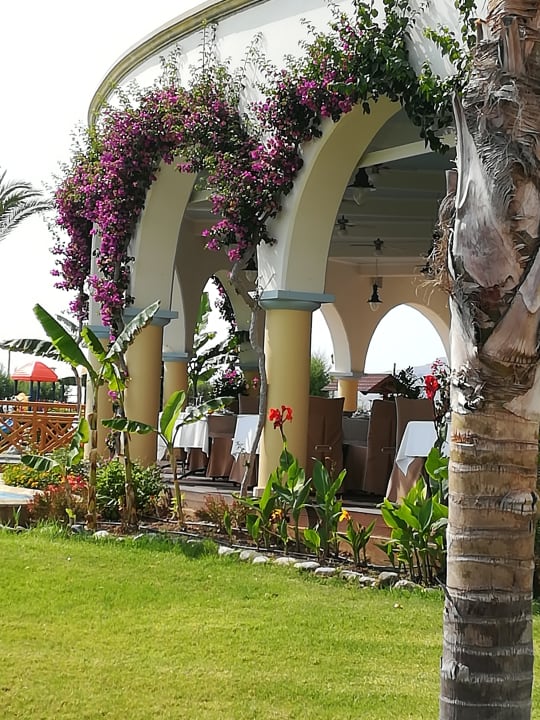 Gastro Atrium Palace Thalasso Spa Resort & Villas