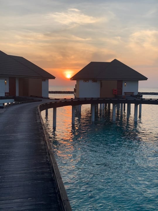 Zimmer VARU by Atmosphere