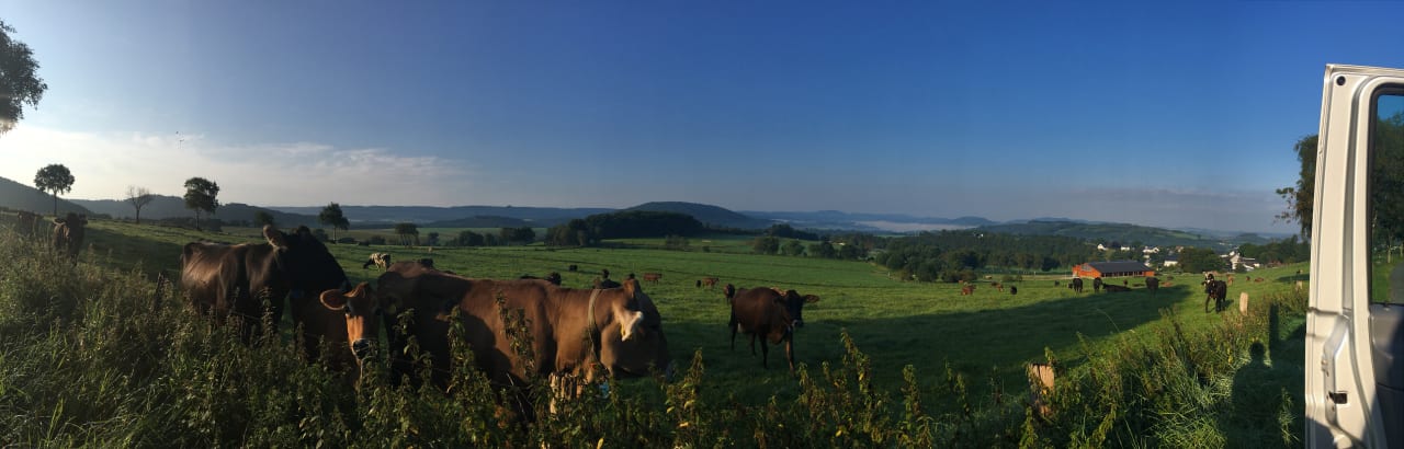 Ausblick Dorfwirt Vollmer-König