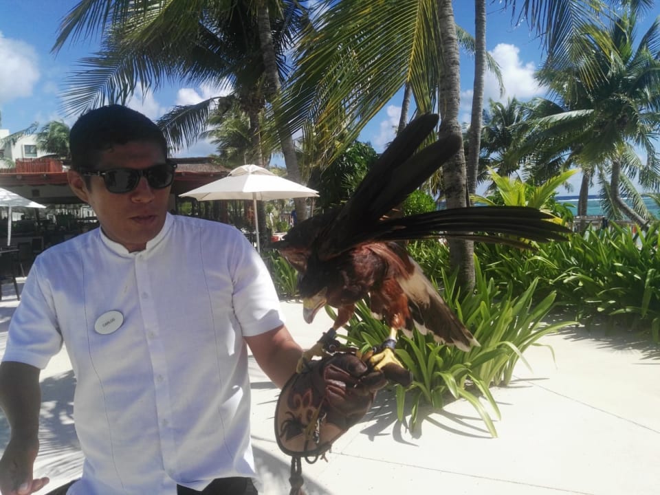 Sonstiges Akumal Bay Beach & Wellness Resort