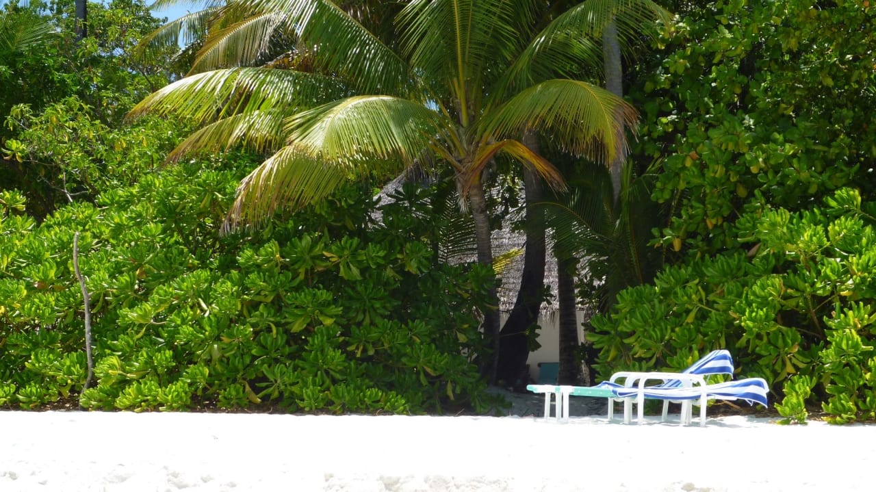 Blick vom Strand zum Bungalow 23 Madoogali Resort