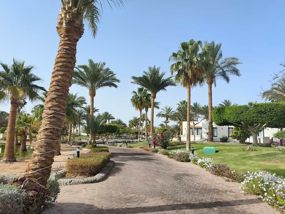 Gartenanlage Pharaoh Azur Resort