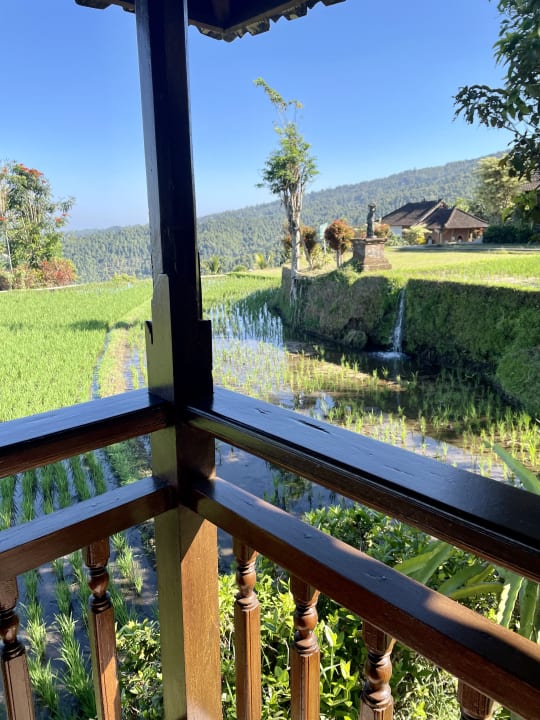 Ausblick Puri Lumbung Cottages