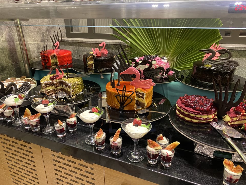 Gastro Seashell Vega