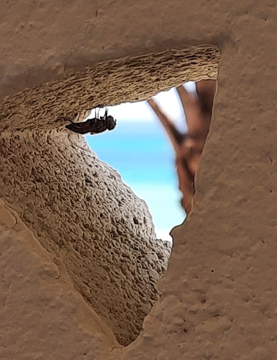 Außenansicht R2 Maryvent Beach