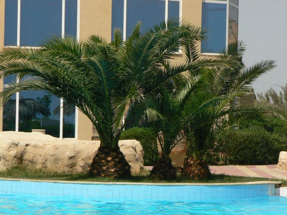 Basen Skanes Serail Aquapark