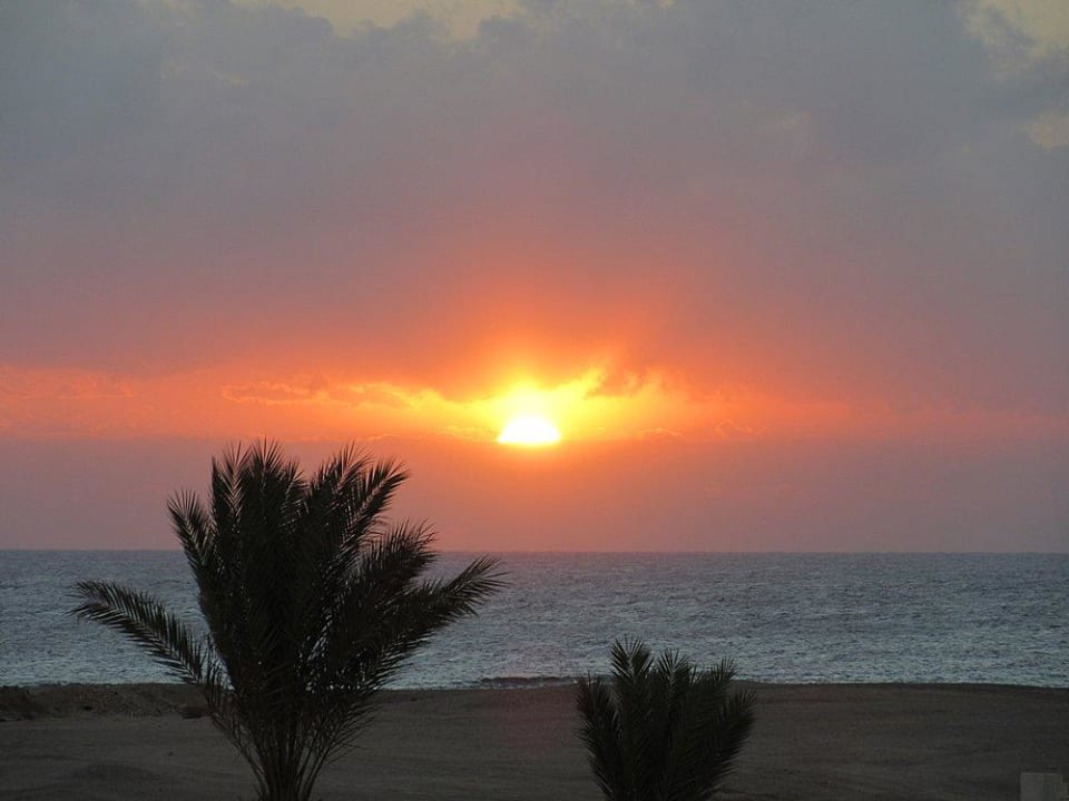 Aussicht von der Terrasse Hilton Marsa Alam Nubian Resort