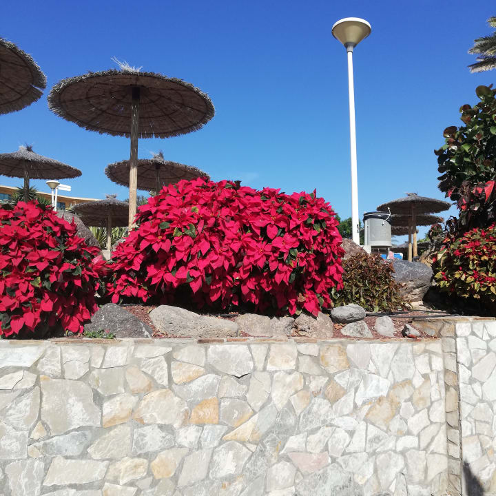 Außenansicht SBH Club Paraiso Playa