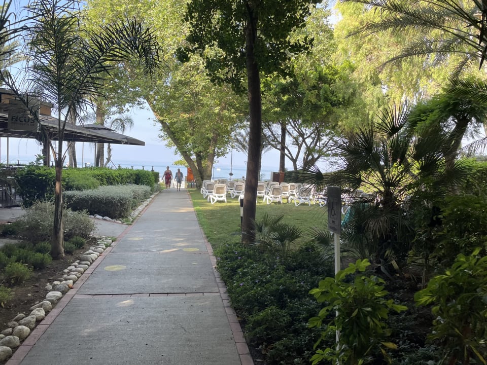 Ausblick Side Star Elegance