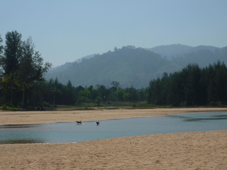 Strandspaziergang Khaolak Orchid Beach Resort