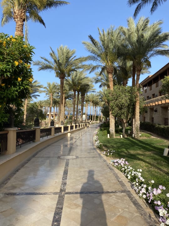 Gartenanlage Makadi Palace