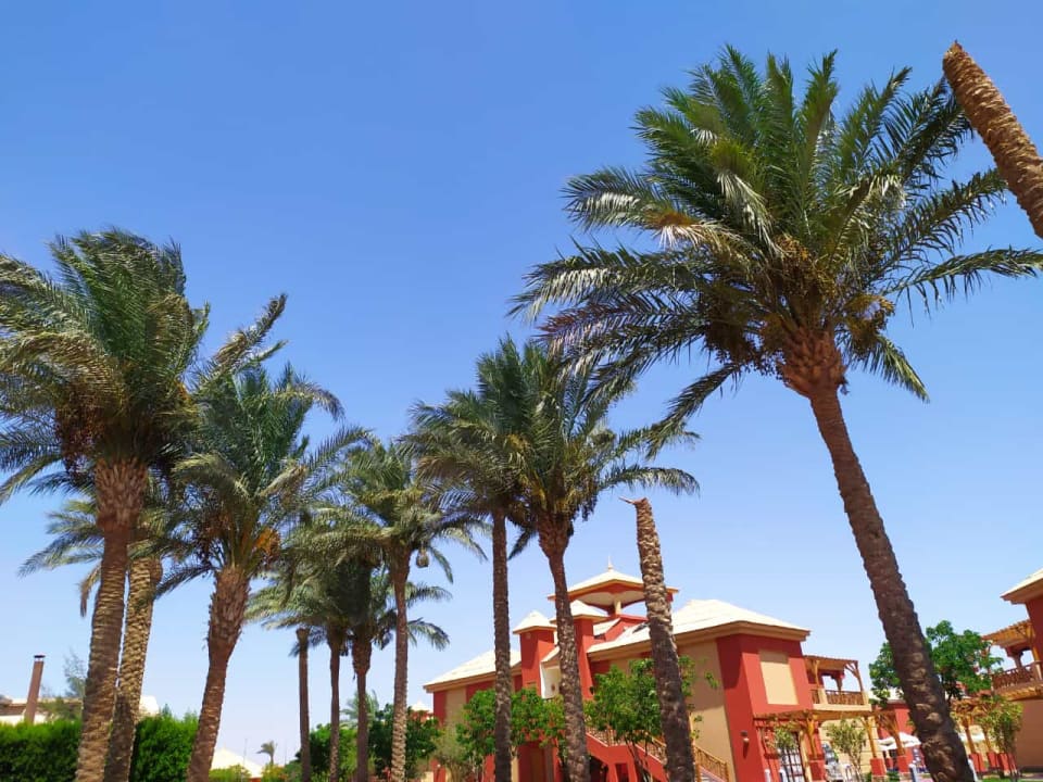 Außenansicht Pickalbatros Alf Leila Wa Leila Resort - Neverland Hurghada