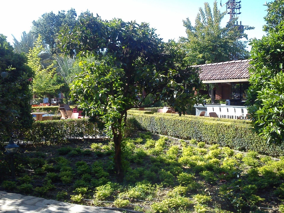 Blick auf die Kleopatrabar Can Garden Beach