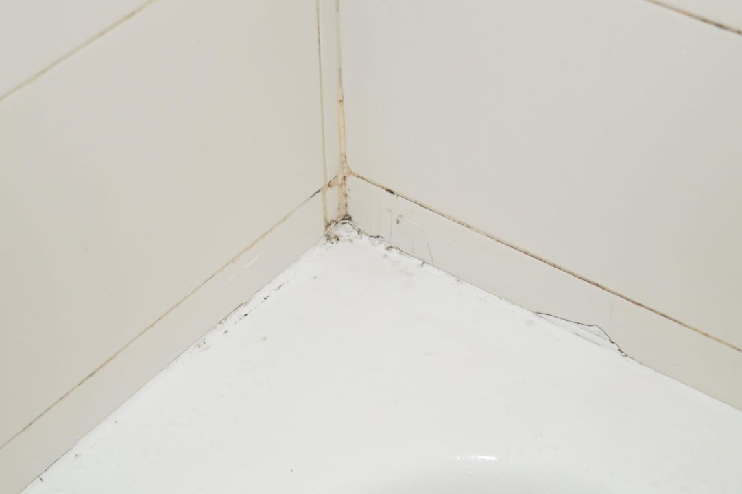 Superior room - grzyb na fudze El Mouradi Club Kantaoui