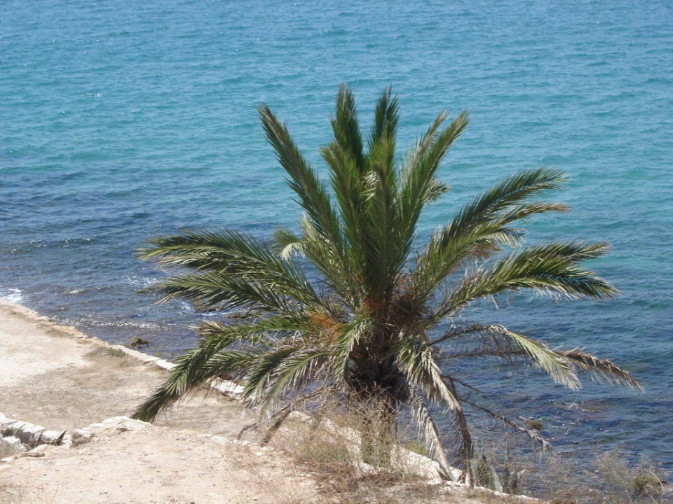 Ebenfalls von der Klippe aus Ponient Hotel Dorada Palace by PortAventura