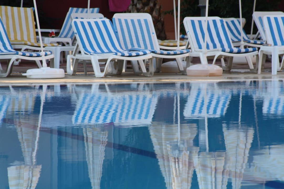 Pool/Liegen Hotel Orfeus Park