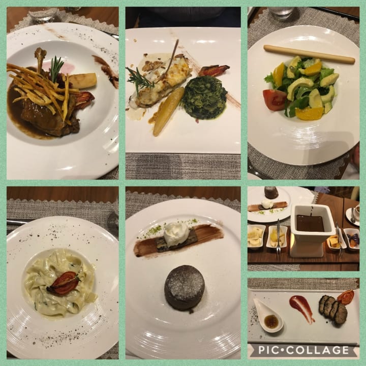 Gastro Acanthus Cennet Barut Collection