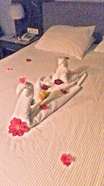 Zimmer Side Star Elegance