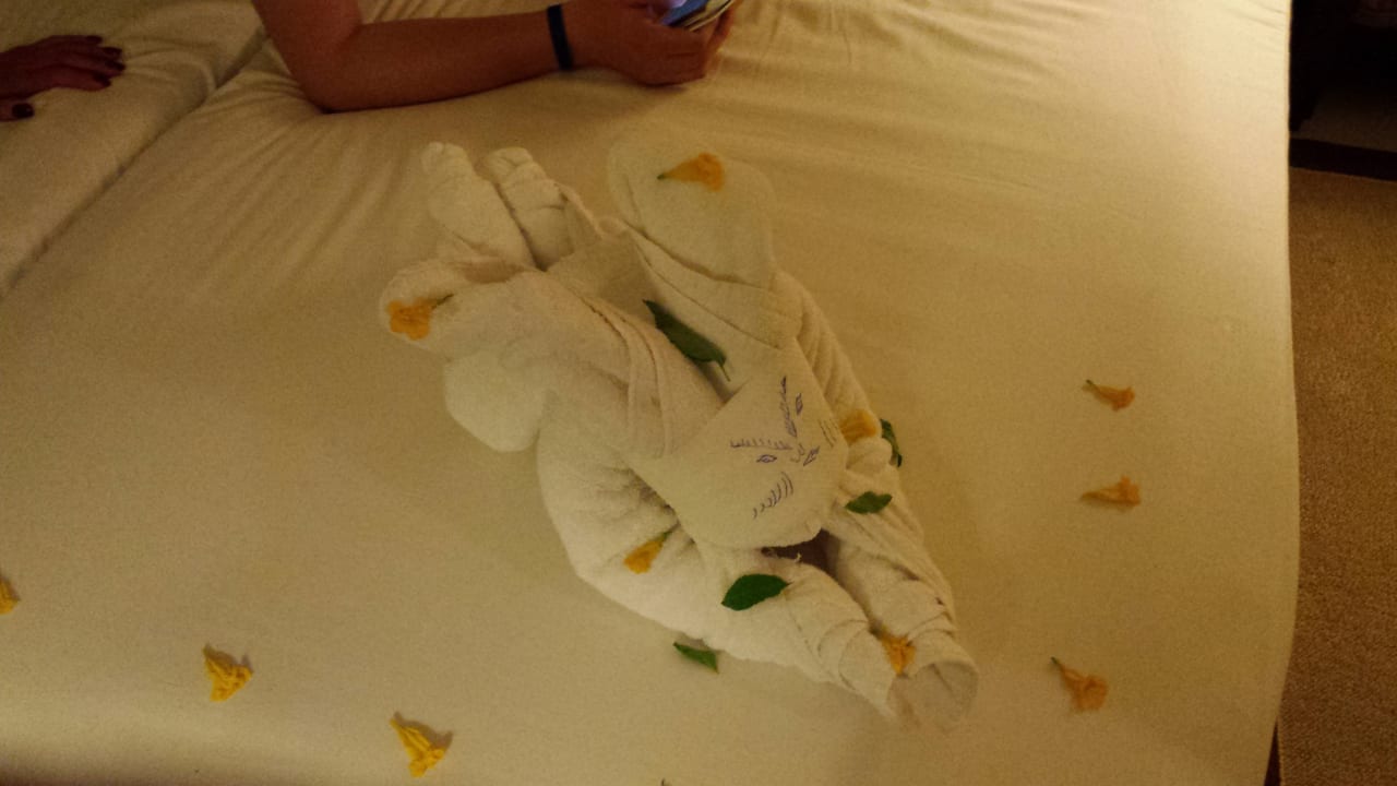 Zimmer Jaz Dar EL Madina