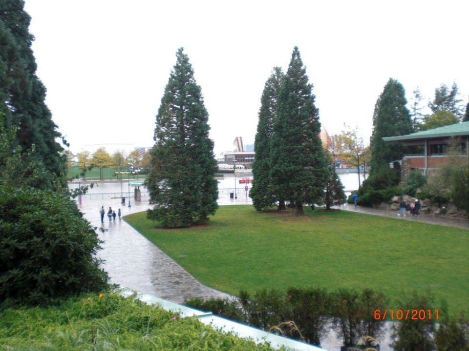 Ausblick von der Dachterrasse Disney's Sequoia Lodge