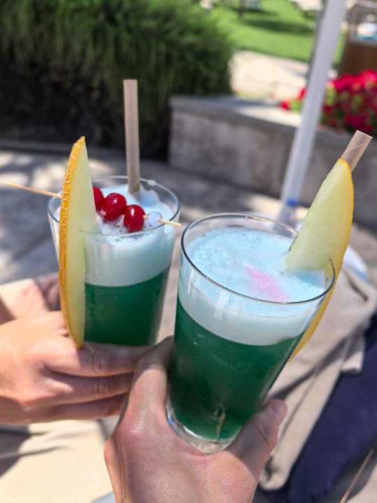 Gastro Arum Barut Collection