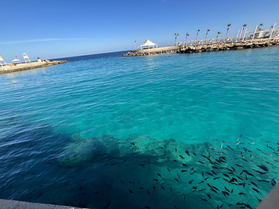 Ausblick Pickalbatros Citadel Resort