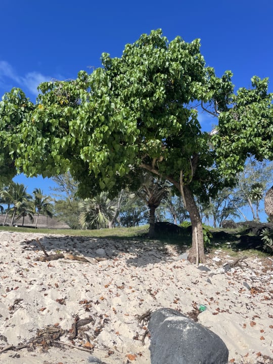 Strand Shandrani Beachcomber Resort & Spa