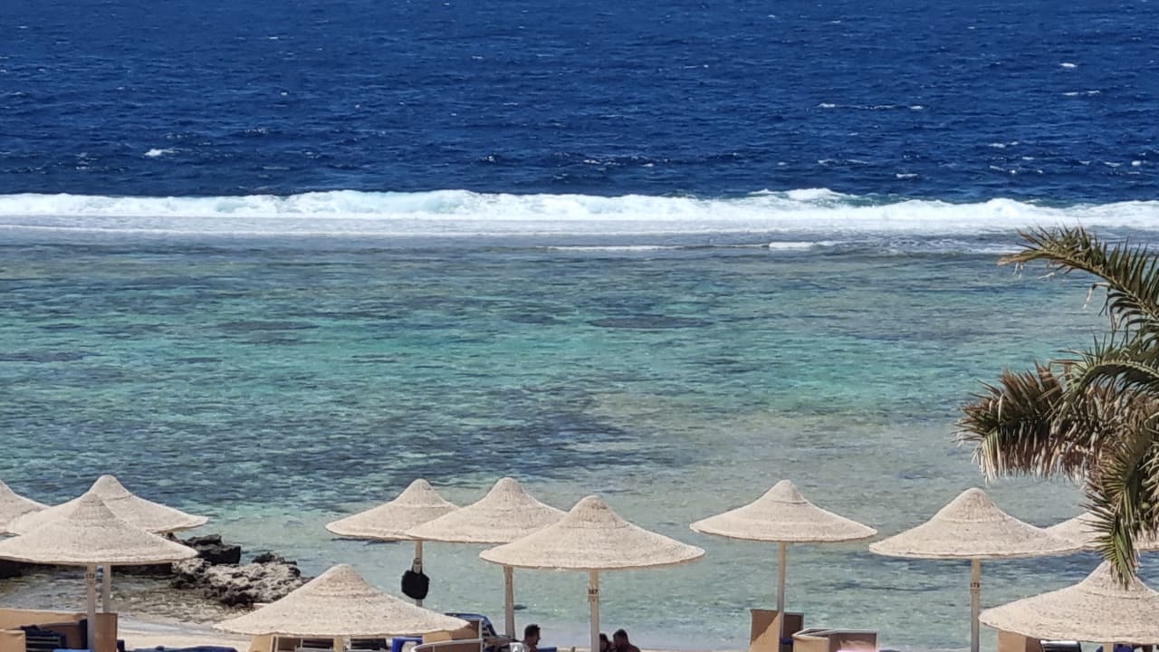 Strand Pickalbatros Sea World Resort - Marsa Alam